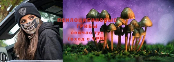 дживик Алексин